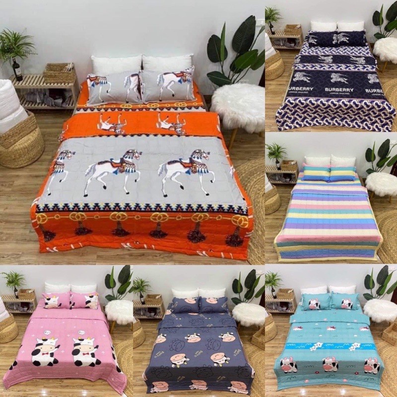 Bộ chăn ga gối poly 5 món hàng loại 1