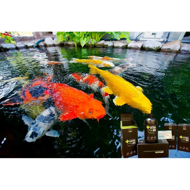 Vi sinh Extra Bio 1000ml, vi sinh bể cá, hồ cá giúp làm trong nước, khử mùi tanh hôi, giảm độc tố, ngăn ngừa rêu hại
