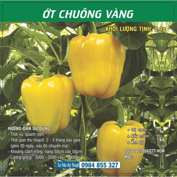 Hạt giống Ớt Chuông Vàng TN