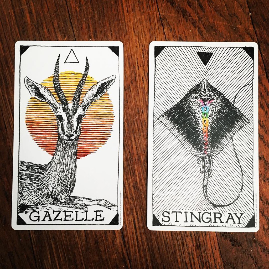 Bộ Bài Animal Spirit Deck (Mystic House Tarot Shop) - Bài Gốc Authentic Chính Hãng 100%