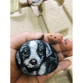 Chó con bằng đá cuội