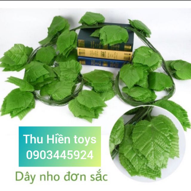 Dây Lá Nho Cuống Xanh Dài 2m