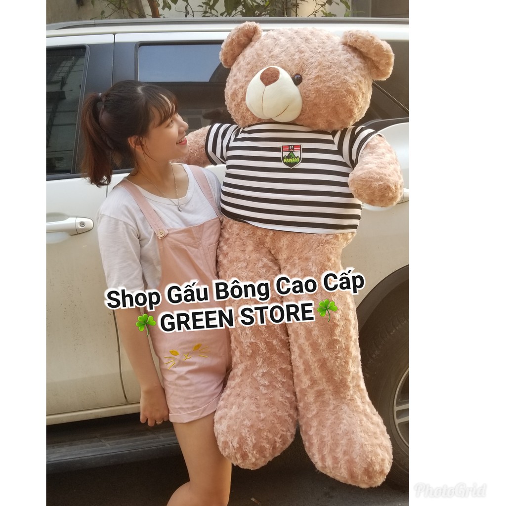 (Ảnh Thật 100%)-Gấu Bông Teddy 1M6 Khổ Vải cao 1m4 loai 1 Rẻ Vô Địch