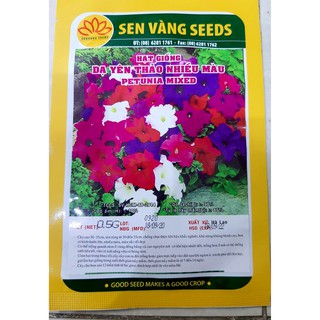 hạt giống dạ uyên thảo cánh đơn mix nhiều màu bịch 0.5gr