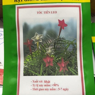 Hạt giống hoa Tóc tiên leo