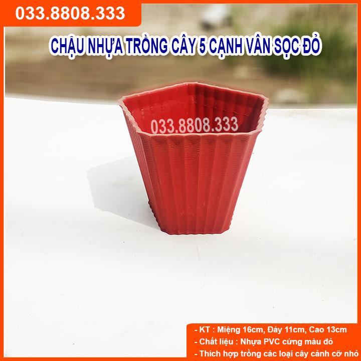 COMBO 10 CHẬU NHỰA 5 CẠNH VÂN SỌC ĐỎ - CHẤT LIỆU CAO CẤP