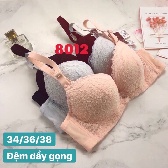 Áo ngực (8012) mút dày 4cm