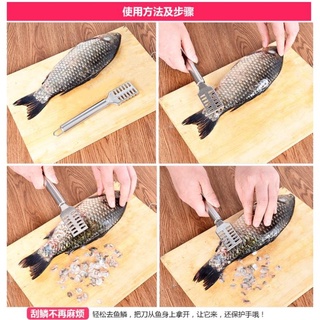 Dụng Cụ Lóc - Đánh Vảy Da Cá - HÀNG CÓ SẴN