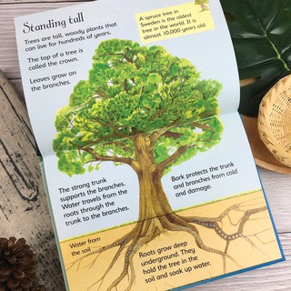 Bộ nhập -  Beginners Nature Collection (10 Books)