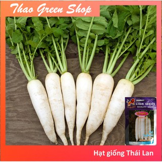 10G - CỦ CẢI TRẮNG THÁI LAN