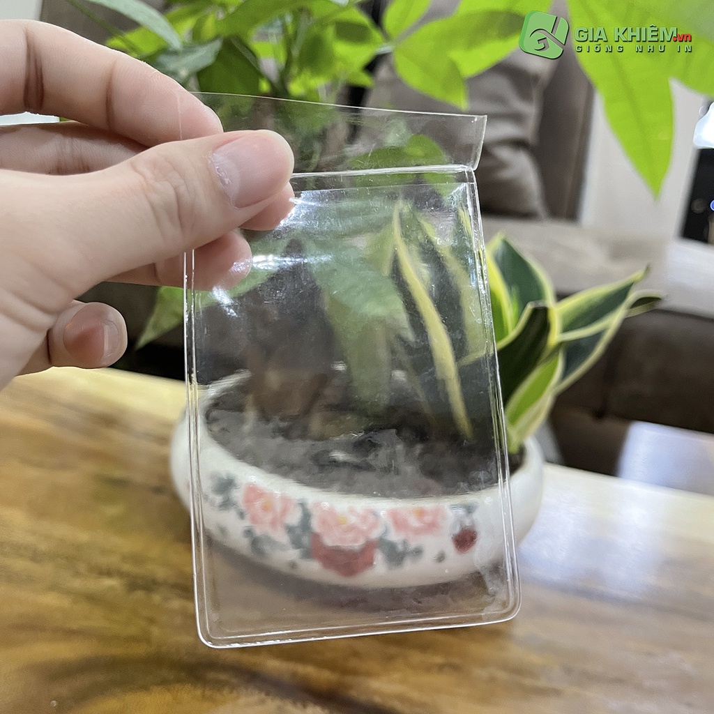 Toploader nhựa dẻo bọc bảo vệ card size 6x9.5cm