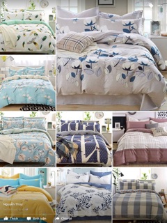 SET CHĂN GA GỐI COTTON LỤA 100%
