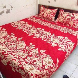 Bộ phủ trần bông 310k
