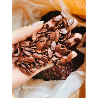 Hạt dưa đỏ 500g