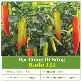 Hạt Giống Ớt Sừng Rado 122 Dễ Trồng, Dễ Chăm Sóc, Chín Đỏ Tươi, Trái To [ 0,2 gram ]