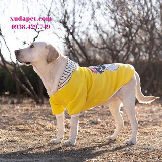 Áo Hoodie Vàng Hình Chó Pug Nón Sọc giúp cho thú cưng thoải mái, mát mẻ - Xudapet - SP000597