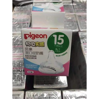 Núm ti Pigeon