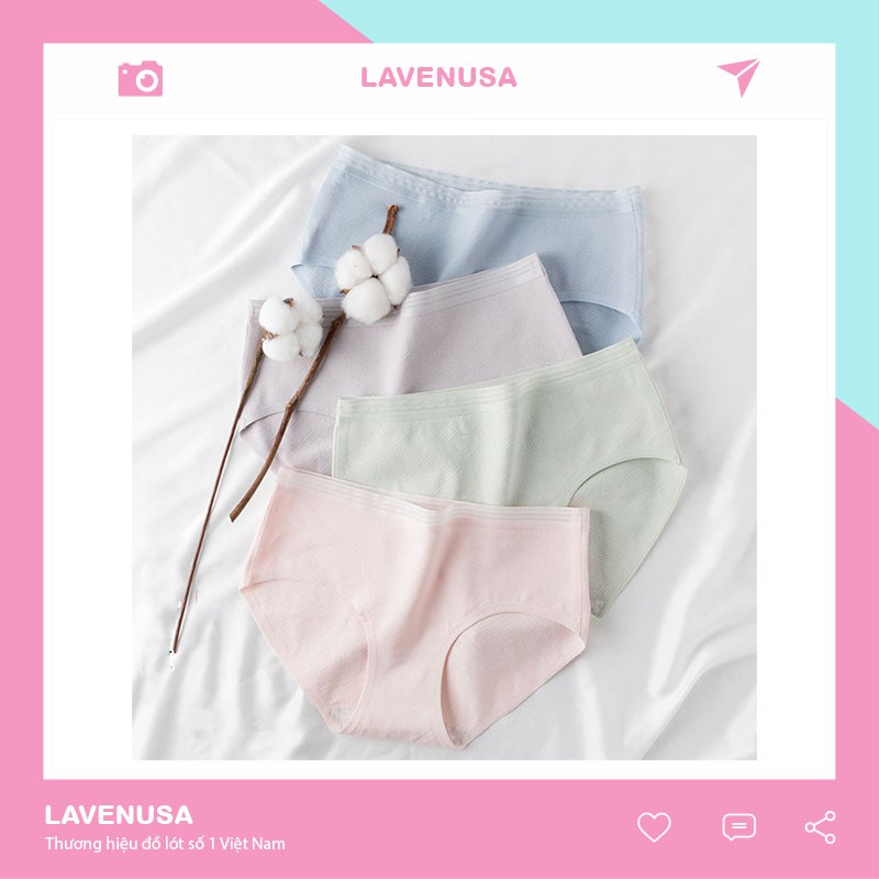 Quần lót nữ cotton cao cấp viền ren co giãn kháng khuẩn siêu đẹp QL13
