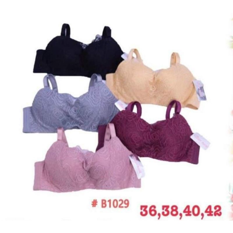 Áo lót nữ bigsize ren quây nâng ngực, áo ngực bigsize Thái Lan Sister Hood 1029 | BigBuy360 - bigbuy360.vn