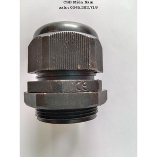 Ốc siết cáp pg