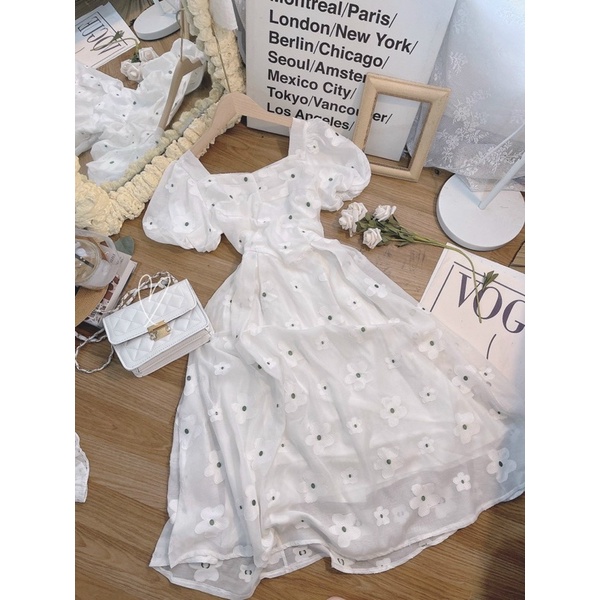 ĐẦM HOA TRẮNG TAY Bồng