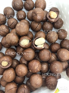 HẠT MẮC CA ÚC  500gr