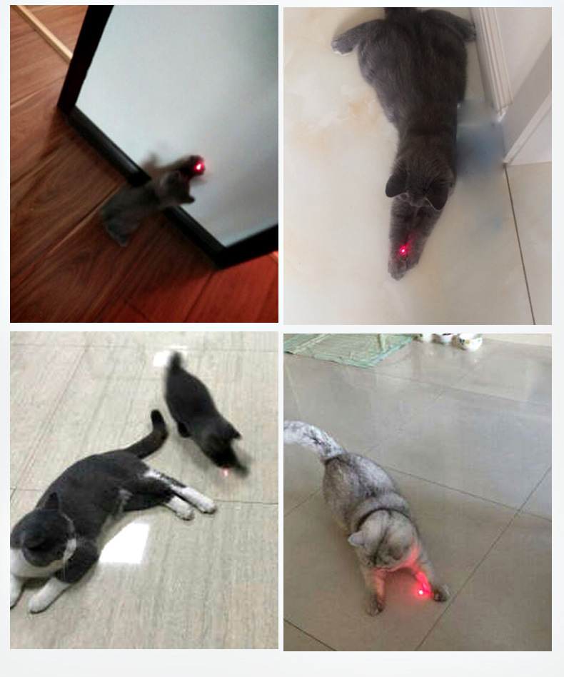 Bút chiếu tia laser 2 trong 1 cho mèo vui chơi