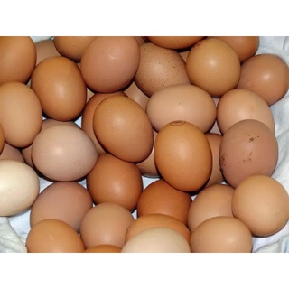 Trứng gà tươi 10 quả