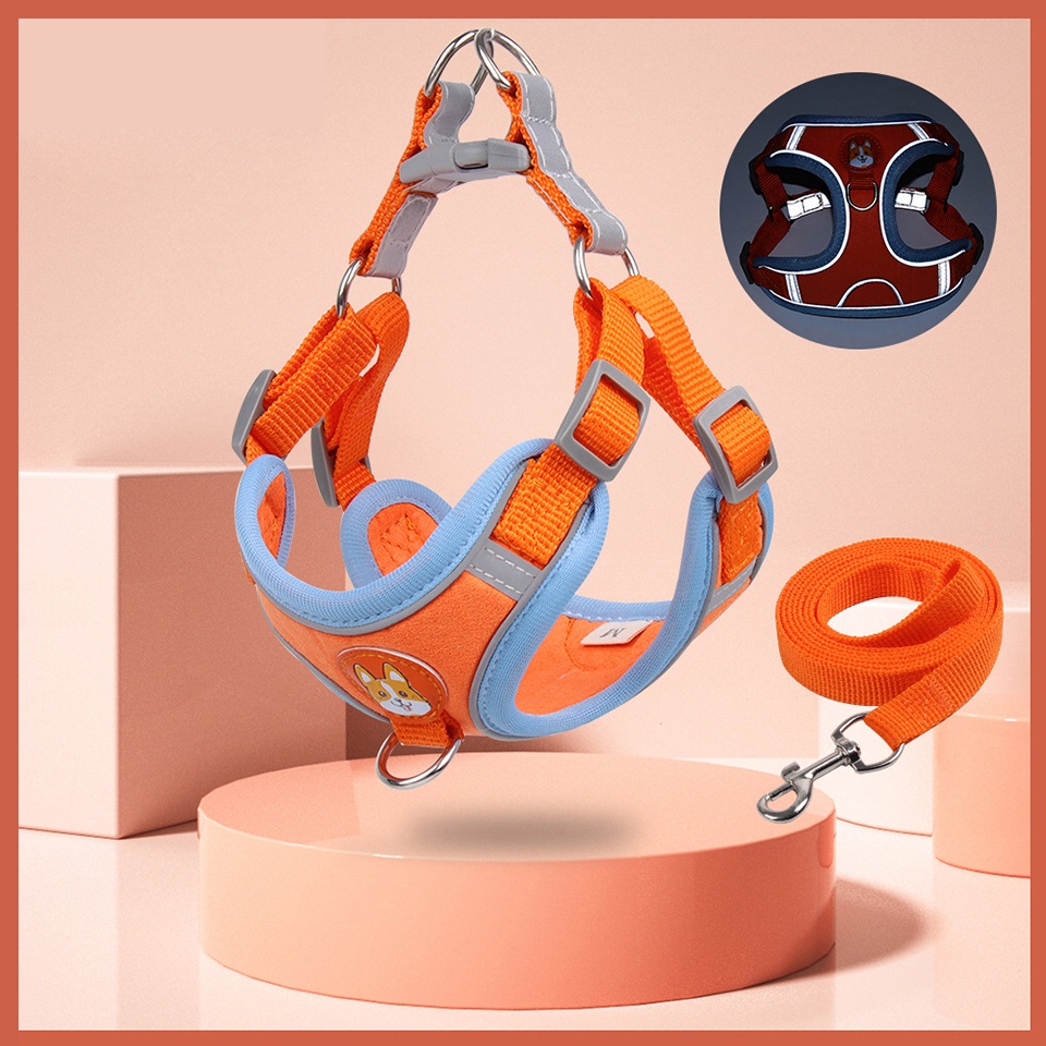 Dây dắt thú cưng đi dạo bằng nylon phản quang có thể điều chỉnh