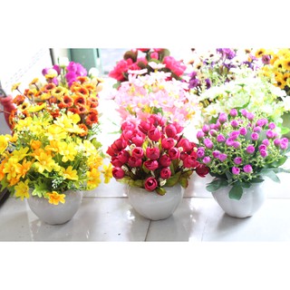 Các loại chậu hoa MINI để bàn, chậu cây giả trang trí (nhiều mẫu)