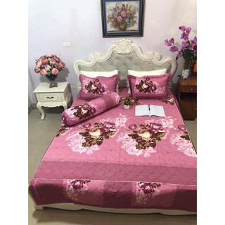Bộ chăn ga gối cotton poly