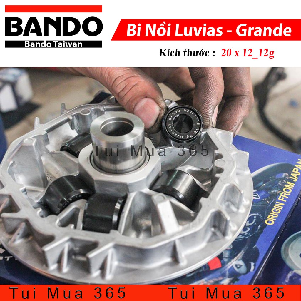 Bi nồi Bando Yamaha Luvias, Grande