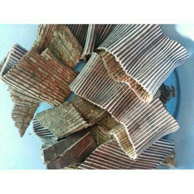 Cây đỗ trọng 500g