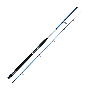 Cần câu cá SHIMANO AX 2m7
