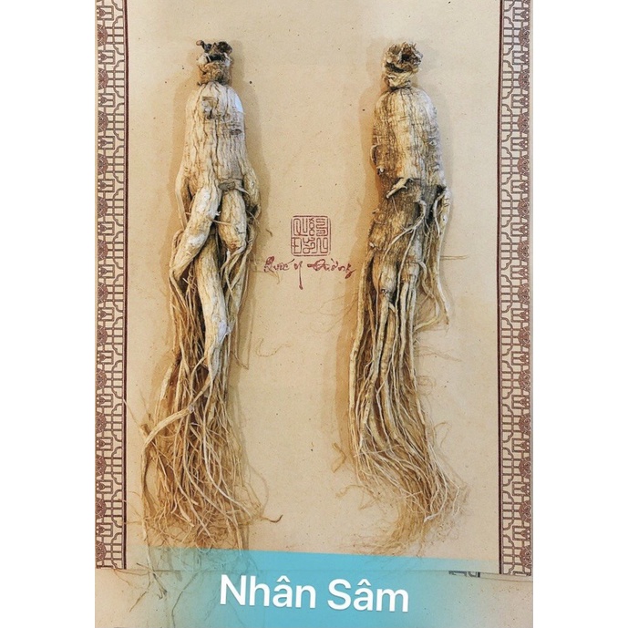 100gr Nhân Sâm Cát Lâm