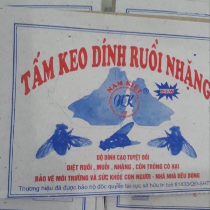 10 tấm kéo dính ruồi siêu dính