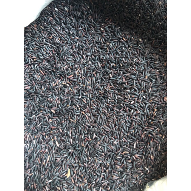 GẠO TÍM THAN SÓC TRĂNG TẠI HÀ NỘI (túi hút chân không hoăc Túi zip 1kg) | BigBuy360 - bigbuy360.vn