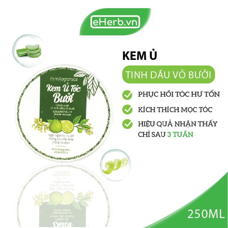 Combo Dầu Gội & Kem Ủ Bưởi Kích Thích Mọc Tóc & Phục Hồi Hư Tổn Từ Tinh Dầu Bưởi Nguyên Chất MILAGANICS (500ml/ Bộ)