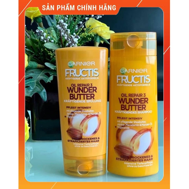 Cặp dầu gội Garnier Fructis