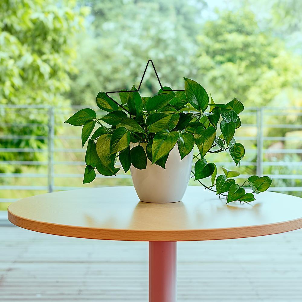 Giá Đỡ Cây Hoa / Rau Củ Bằng Kim Loại Nhiều Hình Dạng Dùng Trong Nhà / Ngoài Trời