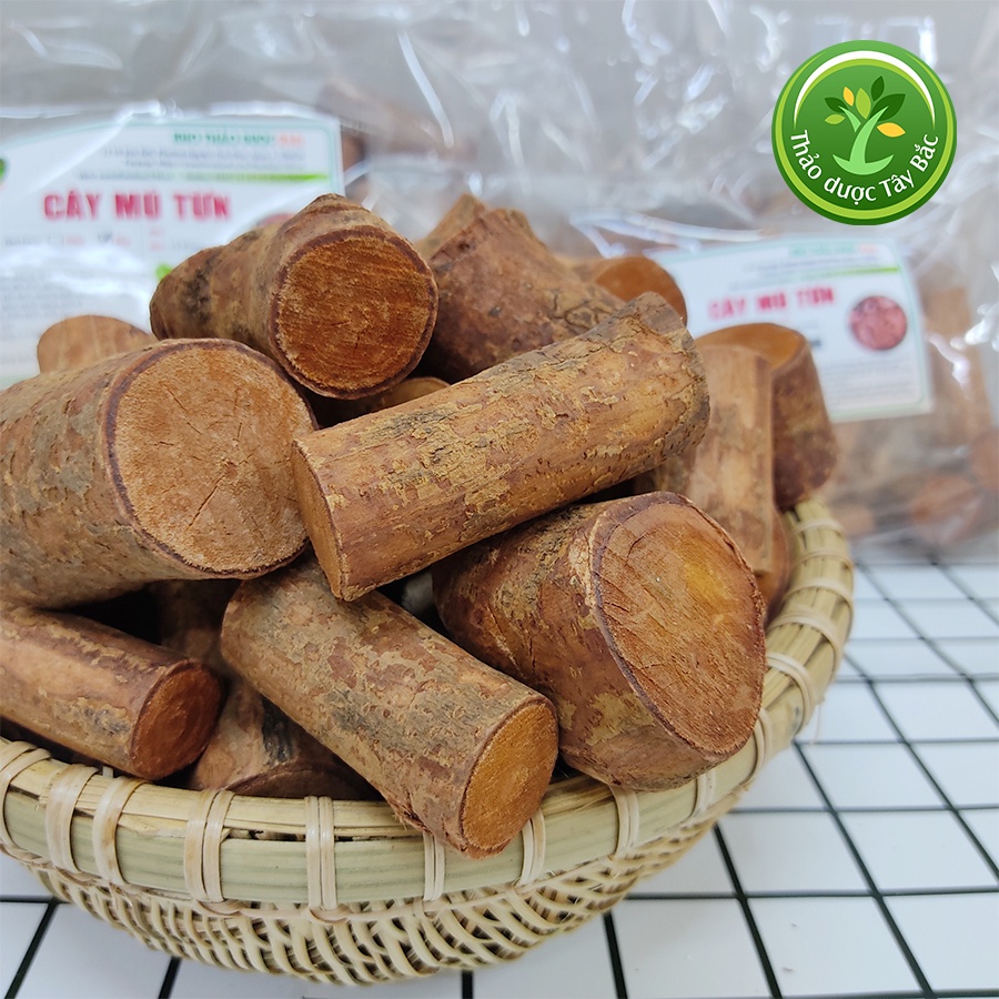 Cây mú từn giúp tăng cường sức khoẻ nam giới, tốt cho người bị đau nhức  | Kho thảo dược Tây Bắc