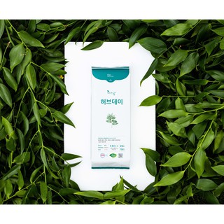 Băng vệ sinh Hàn Quốc Thảo dược Herbday (Ban ngày  - 23cm)
