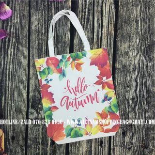 Túi vải canvas