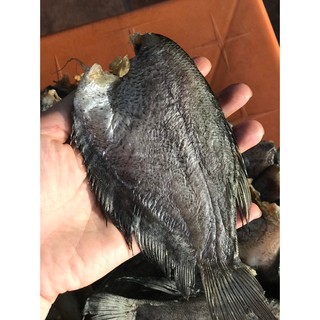 khô cá sặc