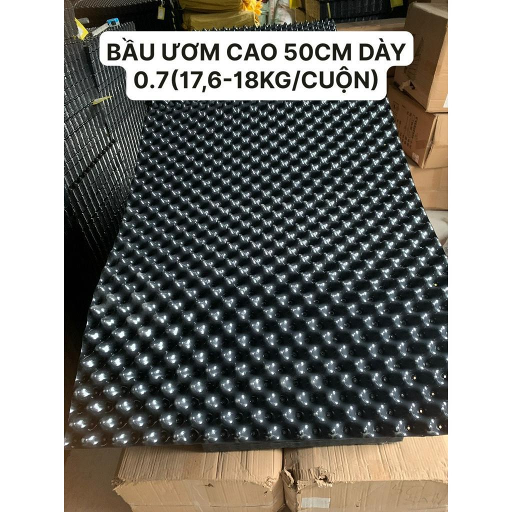 50M BẦU ƯƠM CAO 50CM (DÀY 0.7 17,6-18KG/CUỘN)