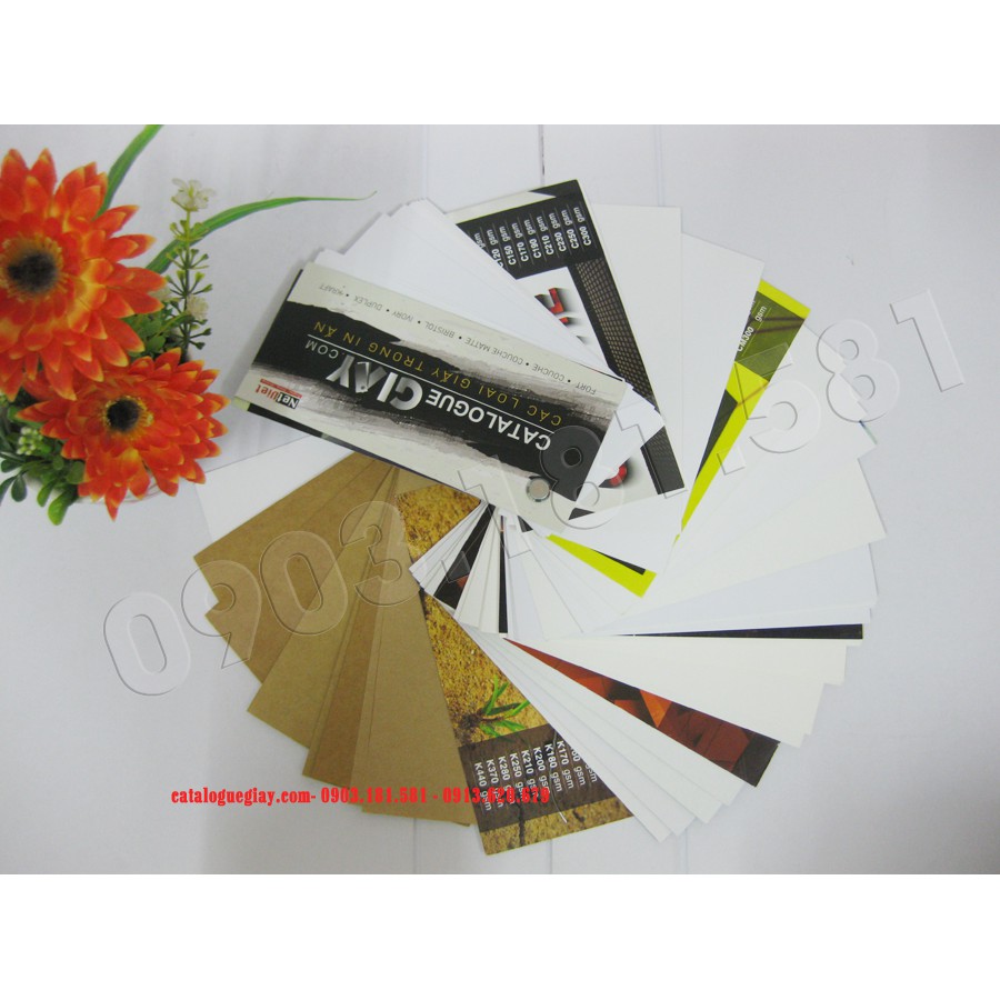 Catalogue giấy - Tập hợp các loại giấy trong ngành in ấn.