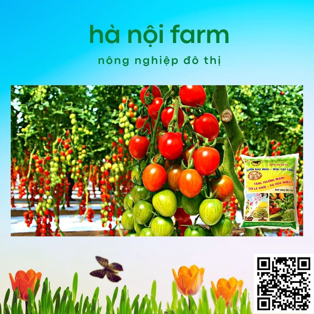 Phân bón đầu trâu 20-20-15, dùng cho rau màu, hoa kiểng gói 1kg