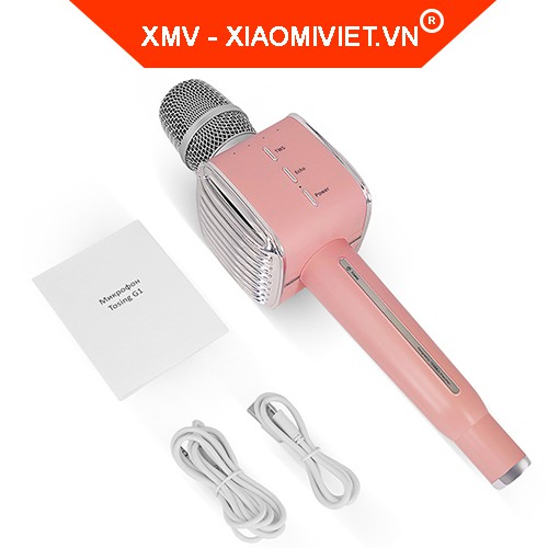 Mirco karaoke Xiaomi Tosing G1 kèm Loa 5W - Hàng chính hãng