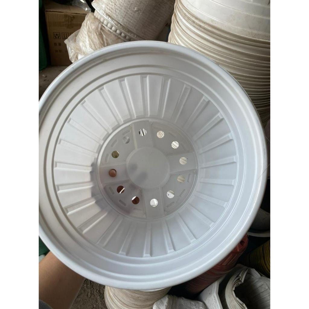 Chậu nhựa mỏng vành cứng trồng cây-Chậu nhựa TTK 150, TTK 180, TTK 200, TTK 230, TTK 260, TTK 280