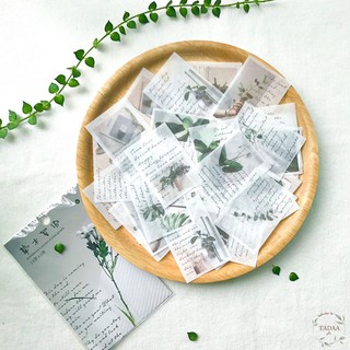 Set 40 sticker vintage hoa lá, phong cảnh bầu trời kèm chữ tiếng Anh đa dạng trang trí sổ